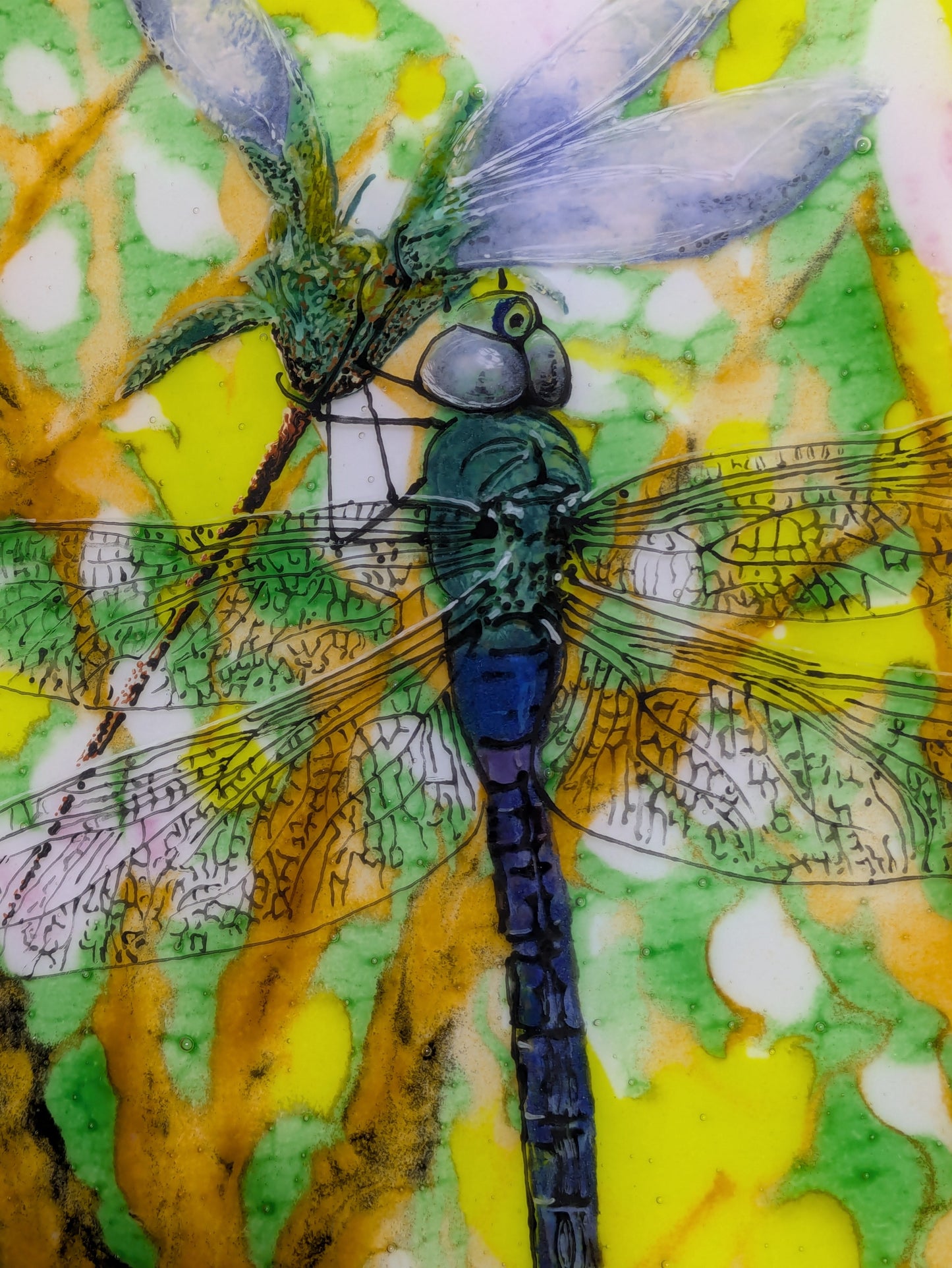 Dragonfly wall art