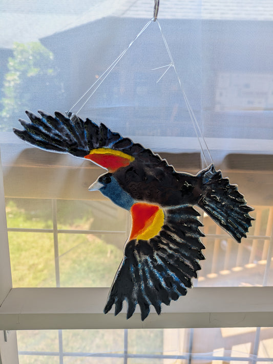 Red-winged blackbird