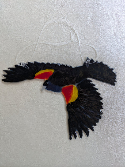 Red-winged blackbird