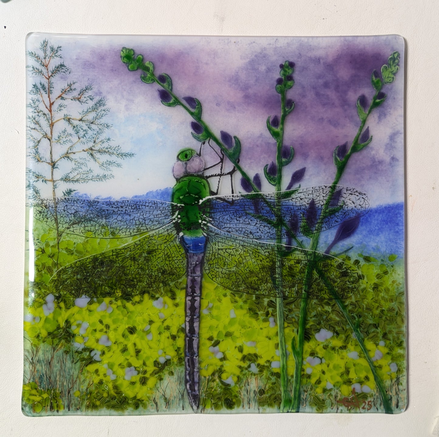 Dragonfly mountain scene